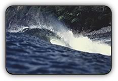 Pat Magee's Surf Shop in Port Aransas Texas