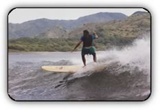 Pat Magee's Surf Shop in Port Aransas Texas
